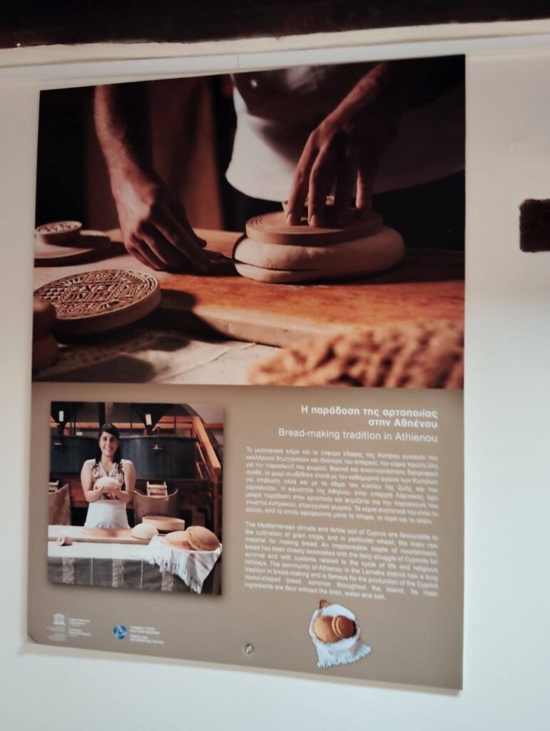 538598868 122104486196985417 671500437112488845 n