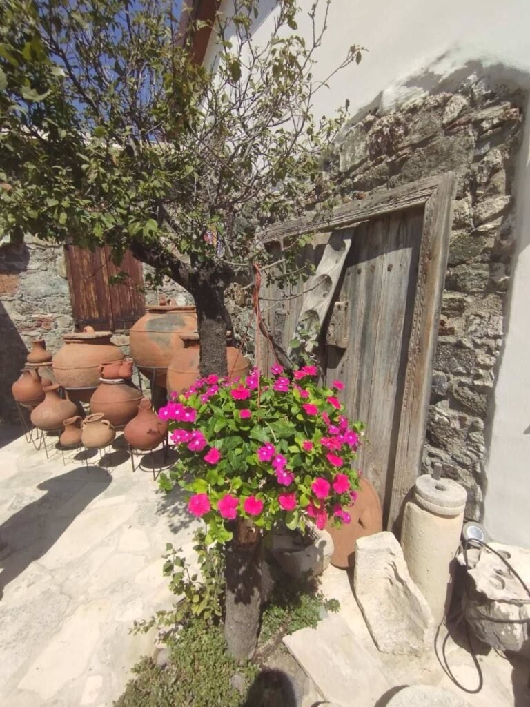 540833350 122107329188985417 1881962786242833838 n